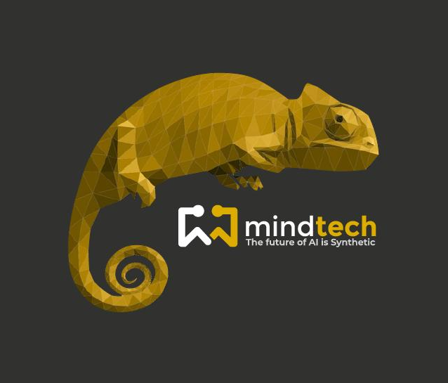 Representative game from Mindtech Global